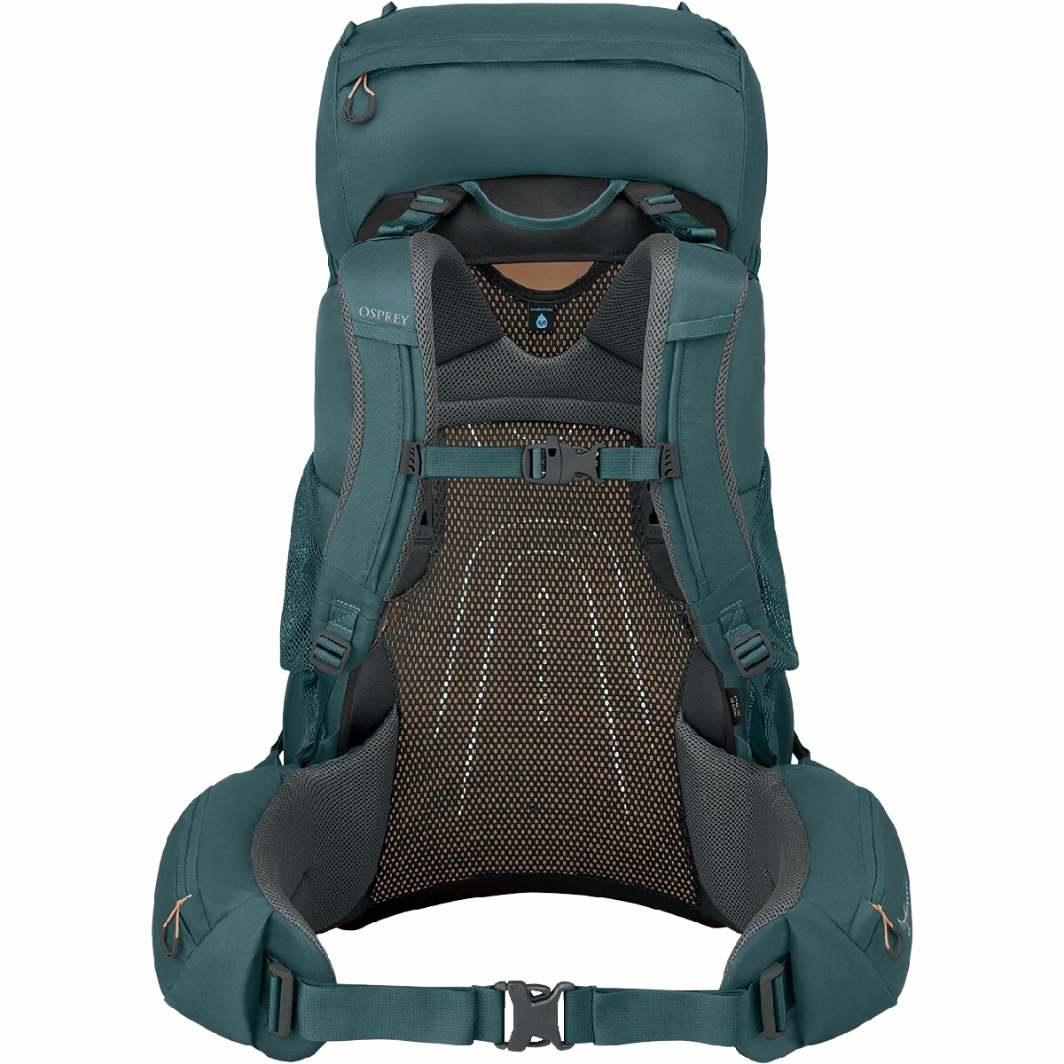 Women's Renn 65L EF