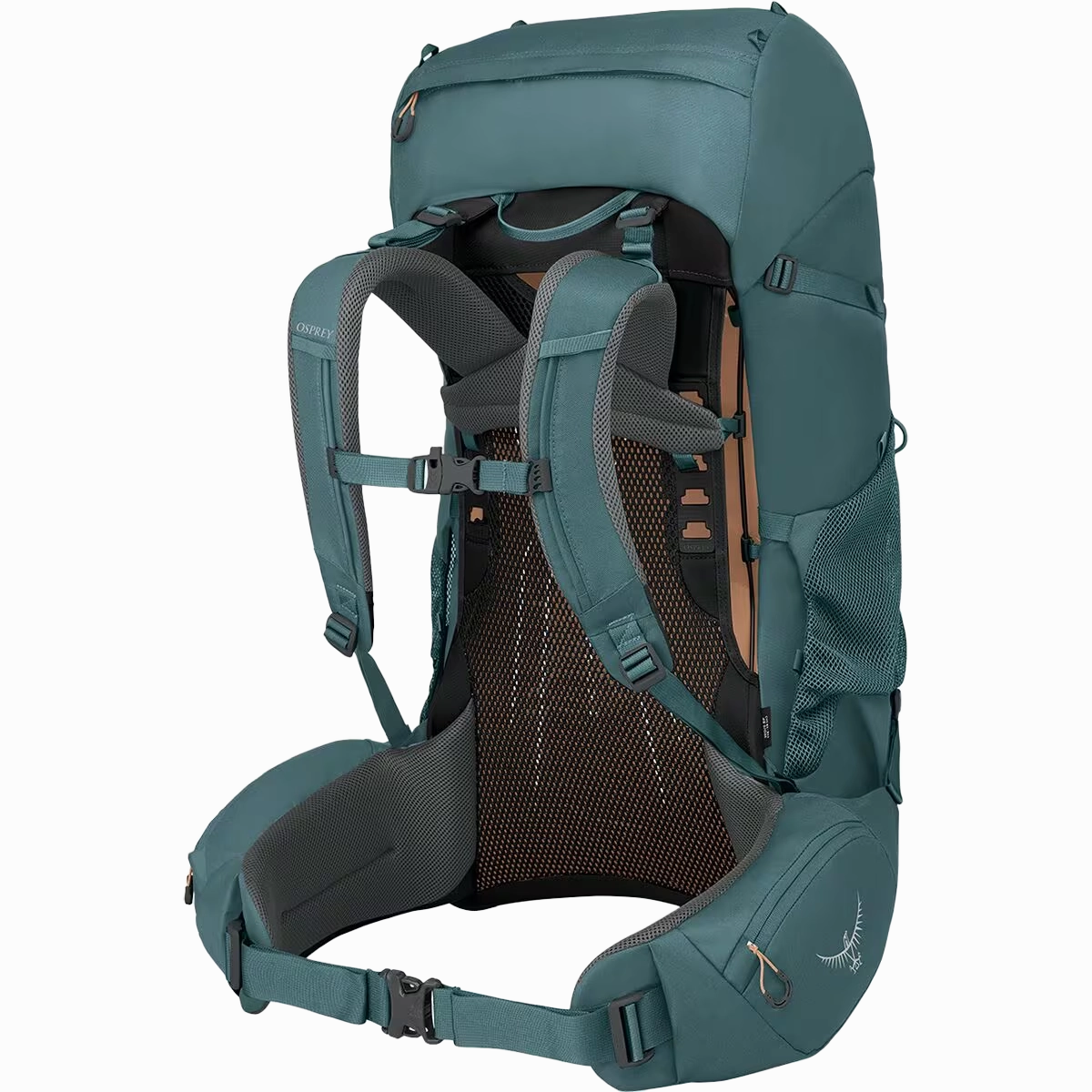Women's Renn 65L