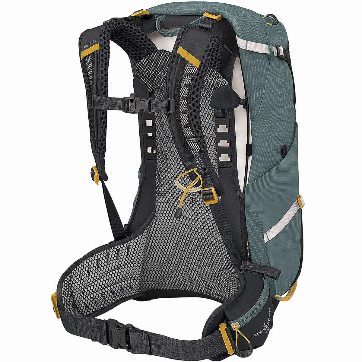 Women's Sirrus 24