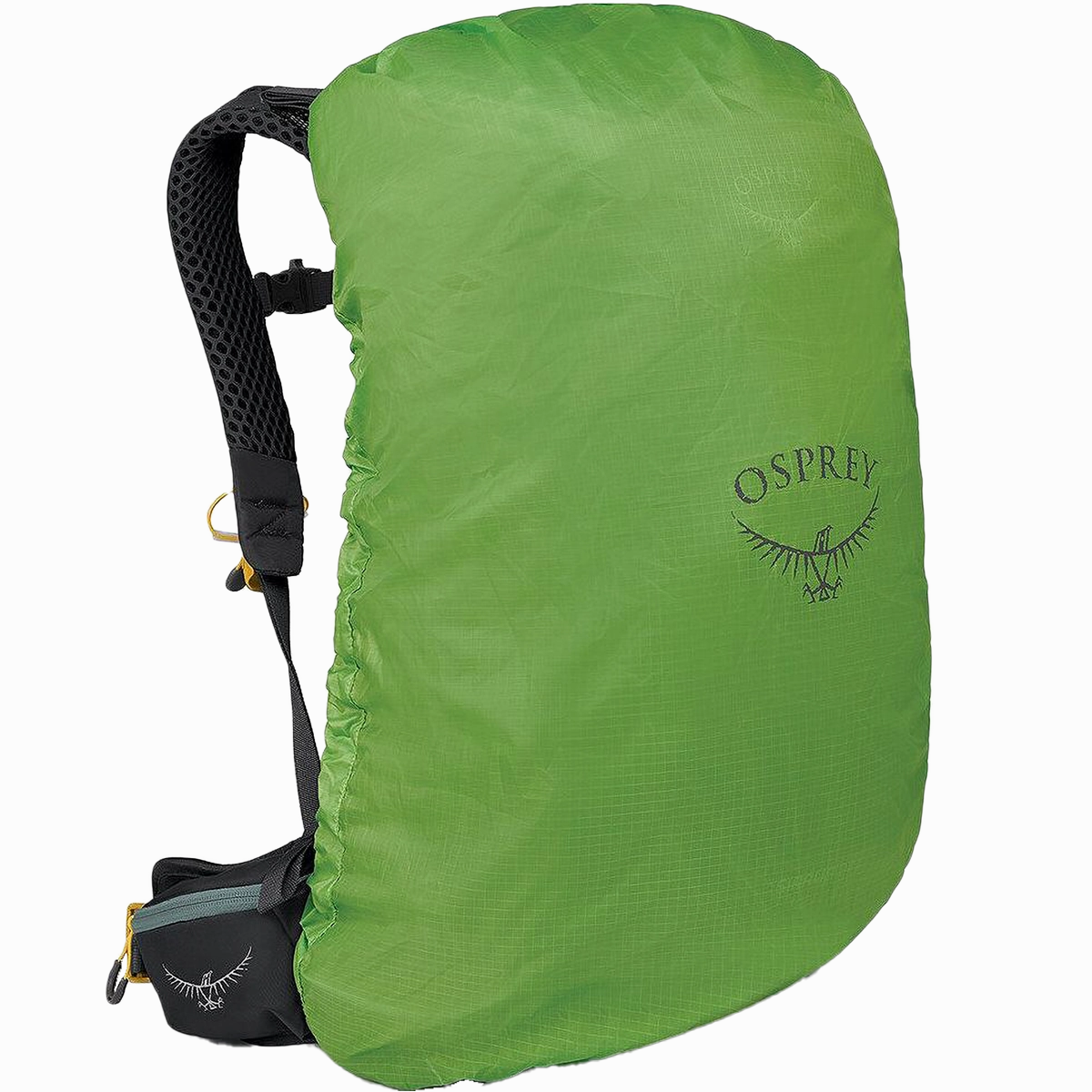 Women's Sirrus 24